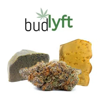 60% Off Fall Sale at BudLyft - Coupon Code