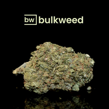 10% Off AA+ Strains - BulkWeed Coupon Code