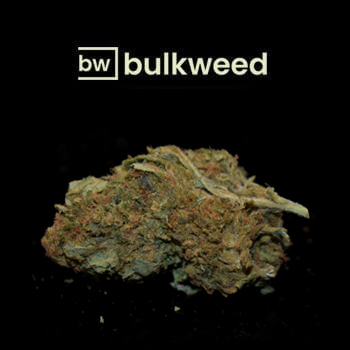 Crystal Meth Auto (AA) - $44.99 an OZ - BulkWeed Discount Code