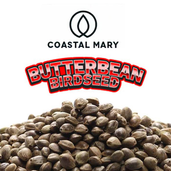 Butterbean Birdseed BONUS - Coastal Mary Seeds Discount Code