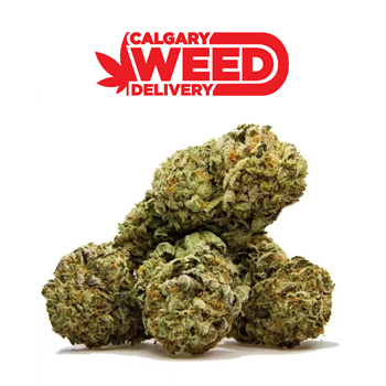 FREE 1/8th With First Order - Calgary Weed Delivery Discount Code