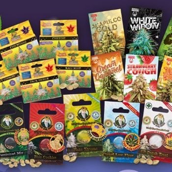 10 FREE Cannabis Seeds - Rocket Seeds Discount Code