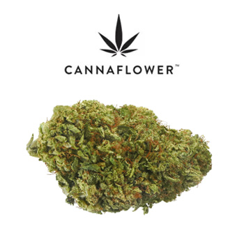FREE Gram Of Flower - Cannaflower Promo Code