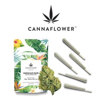 17% Off Anything - Cannaflower Promo Code