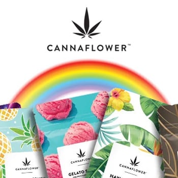 17% Off St Patrick's Day Sale - Cannaflower Coupon Code