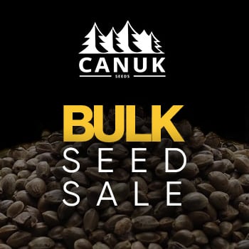 BULK Seed Sale - 55% Off at Canuk Seeds - Coupon Code