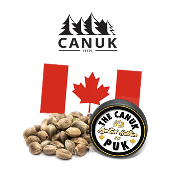 50% Off EVERYTHING - Canuk Seeds Discount Code
