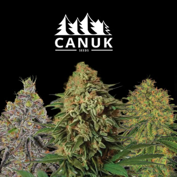 75% Off MEGA Clearance Sale - Canuk Seeds Promo Code