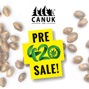 42% Off Selected Cannabis Seeds - Canuk Seeds Promo Code