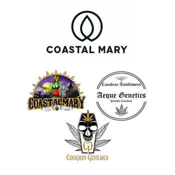 40% Off Selected Breeders - Coastal Mary Seeds Promo Code