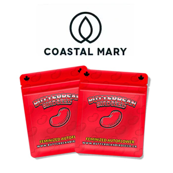 Butterbean Seeds - BOGOF - Coastal Mary Seeds Discount Code