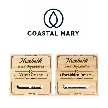 Humboldt Seed Org - BOGOF - Coastal Mary Seeds Promo Code