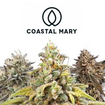 25% Off Valentine's Day Sale - Coastal Mary Seeds Coupon Code