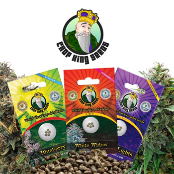 420 Special - Buy 1 Get 1 FREE - Crop King Seeds Coupon Code