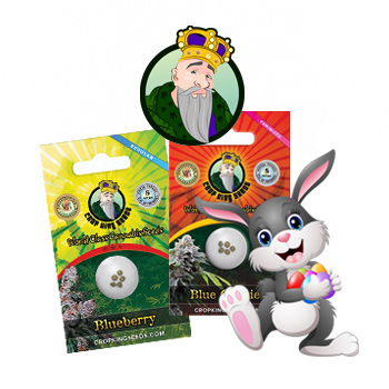 15% Off Easter Sale - Crop King Seeds Discount Code