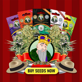 20% Off Father's Day Sale - Crop King Seeds Coupon Code