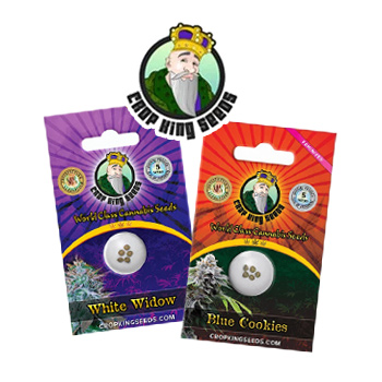 Buy 1 Get 1 FREE - Crop King Seeds Coupon Code