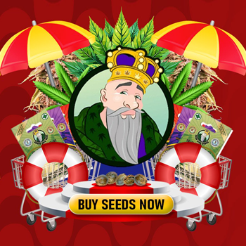 Summer Special - BOGOF - Crop King Seeds Coupon Code