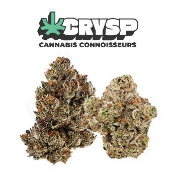 Fresh Flower Sale + 10% Off - Crysp Promo Code