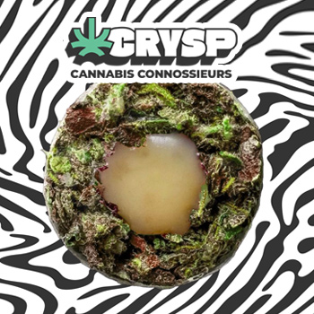 25% Off Hash Hole Joints - Crysp Coupon Code