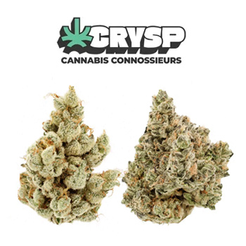 10% Off New Flower Packs - Crysp Coupon Code