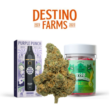 15% Off Bestsellers - Destino Farms Discount Code