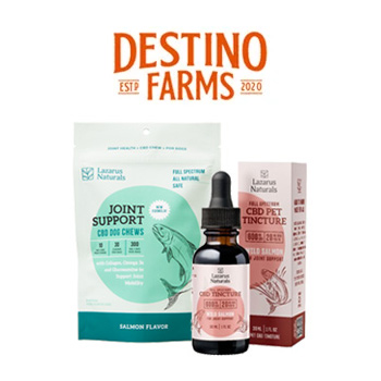 15% Off CBD For Pets - Destino Farms Discount Code
