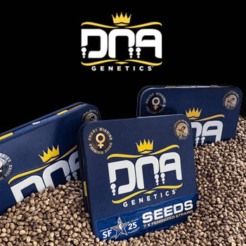 35% Off ALL Feminized Seeds - DNA Genetics Coupon Code