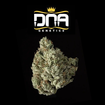 35% Off THCa Flower - DNA Genetics Coupon Code