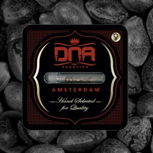 [DISC] Off DNA Genetics  at Seedsman - Coupon Code