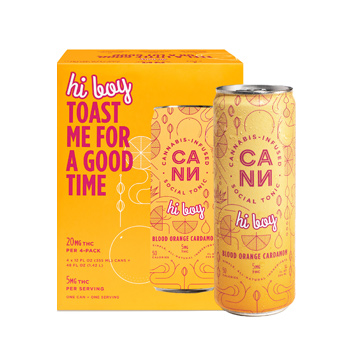 FREE Hi-Boy 4-Pack - Drink Cann Discount Code