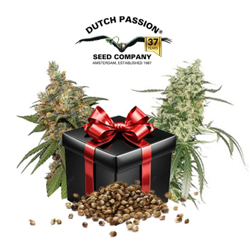 70% Off Christmas Seed Bundles - Dutch Passion Discount Code