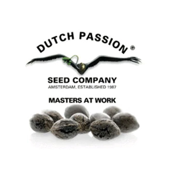 Dutch Passion Coupon Codes