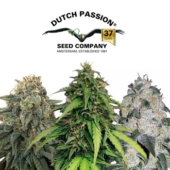 40% Off Outdoor Feminised Package - Dutch Passion Discount Code