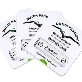 25% Off Dutch Passion at The Vault - Coupon Code