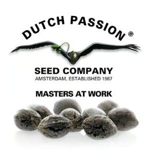 [DISC] Off Dutch Passion Seeds - The Vault Discount Code