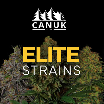 15% Off Elite Strains - Canuk Seeds Discount Code