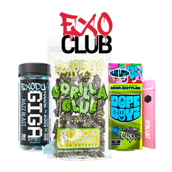 20% Off Everything - Exo Club Discount Code