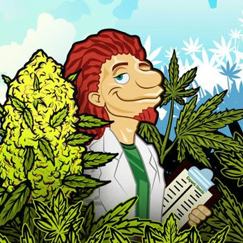 [DISC] Off Expert Seeds - Herbies Seeds Promo Code
