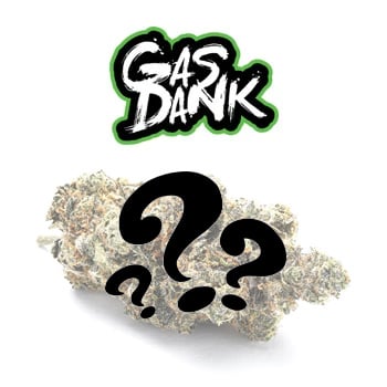 FREE Mystery Gift at GasDank - Coupon Code