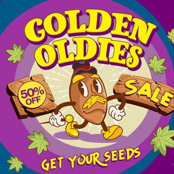 Golden Oldies Sale - 50% Off - Amsterdam Marijuana Seeds Promo Code
