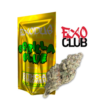 Gorilla Glue THCa Flower - BOGOF - Exo Club Discount Code