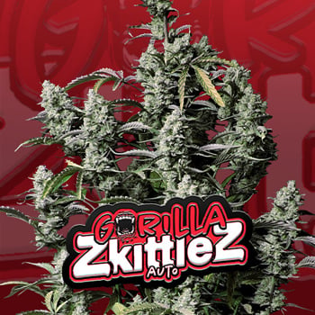 15% Off Gorilla Zkittlez Auto at Fast Buds - Coupon Code