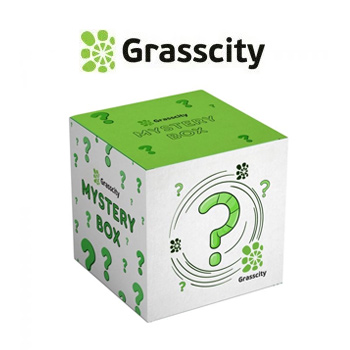 50% Off Grasscity Mystery Boxes - GrassCity Coupon Code