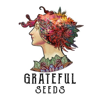 Grateful Seeds BONUS at Seed City - Coupon Code