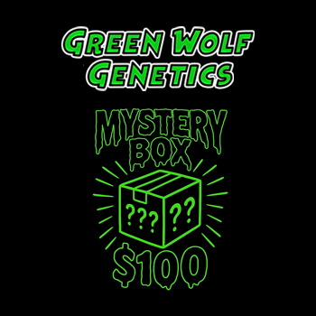 Mystery Box - 6 Packs For $100 - Green Wolf Genetics Promo Code