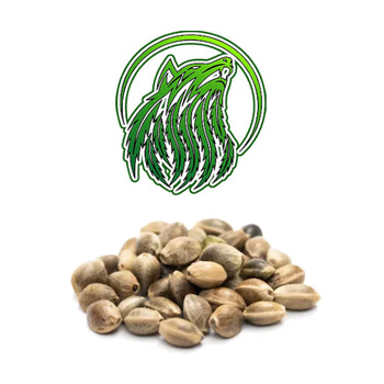 FREE Cannabis Seeds - Green Wolf Genetics Coupon Code