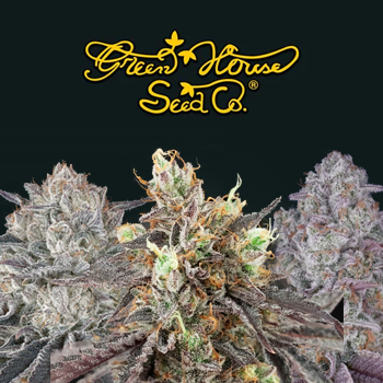 5 & 10 Packs - BOGOF - Greenhouse Seed Co Coupon Code