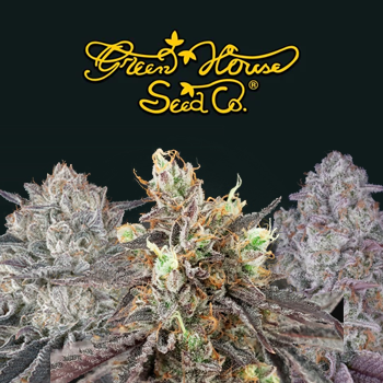 Black Friday BOGOF - Greenhouse Seed Co Promo Code