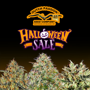 Halloweed Deals - BOGOF  - Dutch Passion Discount Code